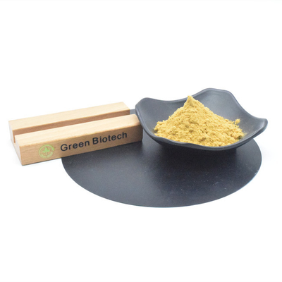 Fornitore Estratto vegetale in polvere naturale 1% 2% Eurycomanone Tongkat Ali Estratto in polvere