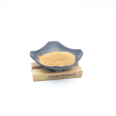 Estratti di piante naturali all'ingrosso Best Price Maca Extract Powder per il trattamento dei capelli