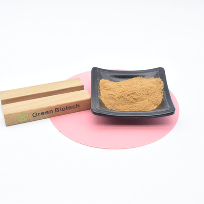 Estratti naturali di piante Prodotti caldi Estratto naturale di maca in polvere per uomini Potenziamento