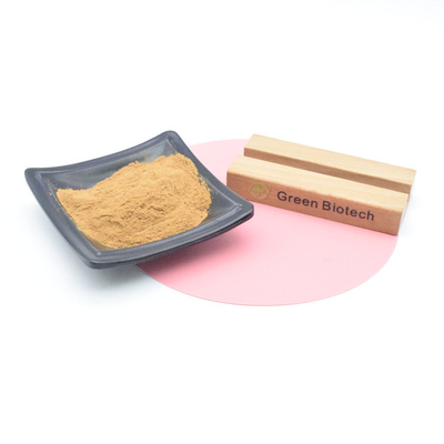Estratti naturali di piante Prodotti caldi Estratto naturale di maca in polvere per uomini Potenziamento