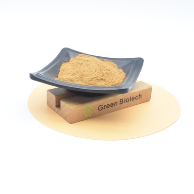 Estratto vegetale di Maca Extratto di radice di Maca in polvere Supplemento di potenziamento dell' energia per gli uomini