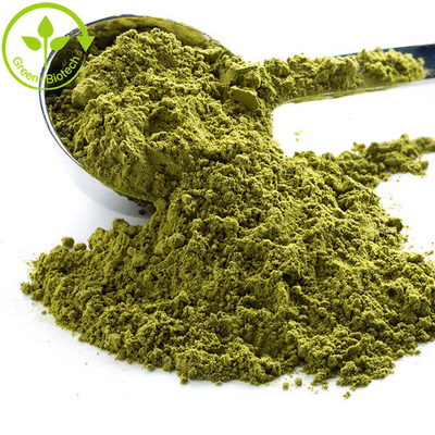 Ingrosso campione gratuito di matcha biologico in polvere di cerimoniale di tè verde
