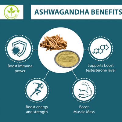 Estratto di Ashwagandha di alta qualità 5% Withanolide per capsule di Ashwagandha