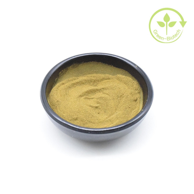 Fornitura di estratto di pianta naturale di ashwagandha in polvere 5% di witanolidi