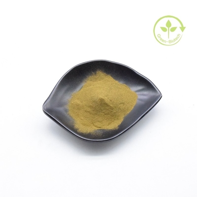 Prezzo basso Estratto di radice di ashwagandha organico in polvere fine per crema di ashwagandha