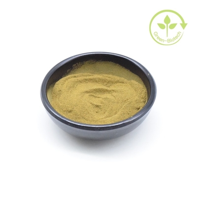 Prezzo basso Estratto di radice di ashwagandha organico in polvere fine per crema di ashwagandha