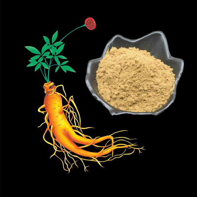 80 Mesh Ginseng Root Extract Powder 1%-80% estratti naturali della pianta