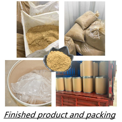 80 Mesh Ginseng Root Extract Powder 1%-80% estratti naturali della pianta