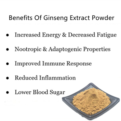 80 Mesh Ginseng Root Extract Powder 1%-80% estratti naturali della pianta