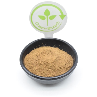 L'estratto della pianta della polvere dell'estratto di Turkestanica del Ajuga del body building spolverizza 500mg 750mg 1000mg
