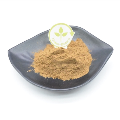 Polvere dell'estratto della pianta di 10% Turkesterone