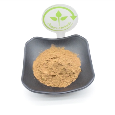 Polvere dell'estratto della pianta di 10% Turkesterone