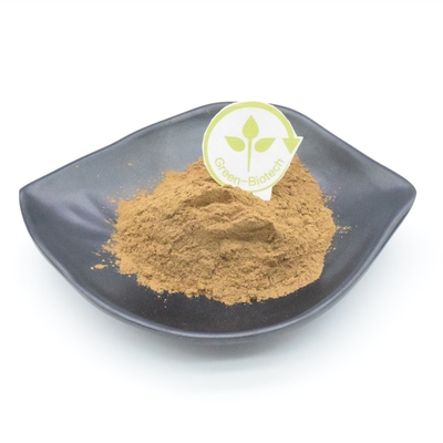 Il Ajuga funzionale Turkestanica spolverizza la polvere dell'estratto della pianta di 750mg 1000mg