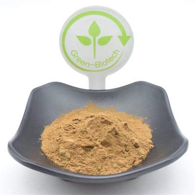 Il Ajuga funzionale Turkestanica spolverizza la polvere dell'estratto della pianta di 750mg 1000mg