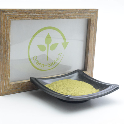 La pianta naturale della polvere organica cerimoniale di Matcha estrae l'anti ossidante