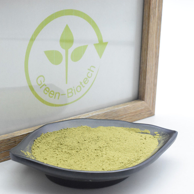 La pianta naturale di MSDS estrae la polvere del tè di Uji Matcha con Rich Umami Taste
