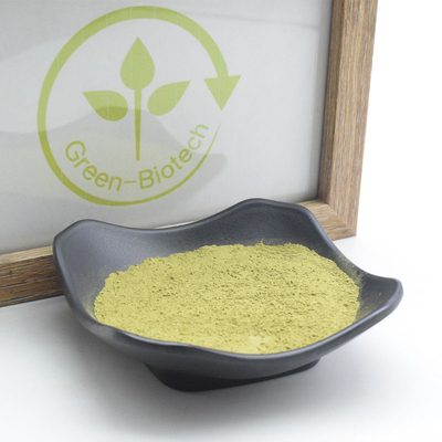 La pianta naturale cerimoniale di Matcha estrae anti infiammatorio di anti anafilassi