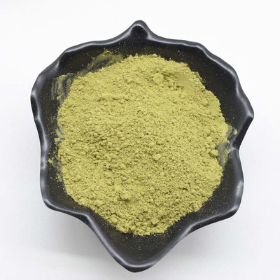 La pianta naturale cerimoniale di Matcha estrae anti infiammatorio di anti anafilassi