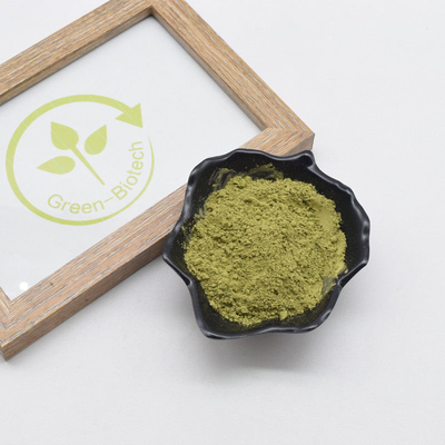 La pianta naturale della polvere organica cerimoniale di Matcha estrae l'anti ossidante